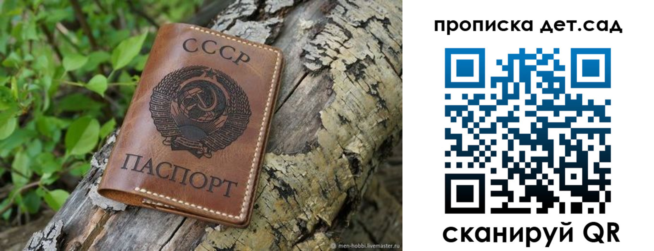 прописка иностранных граждан в Купино